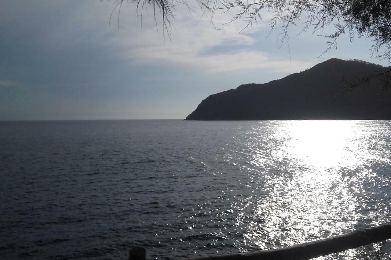 Un Gioiello Con Vista Mare Villa Монеглия Екстериор снимка